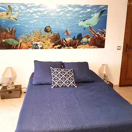 Apartment Plage Vue Mer *
