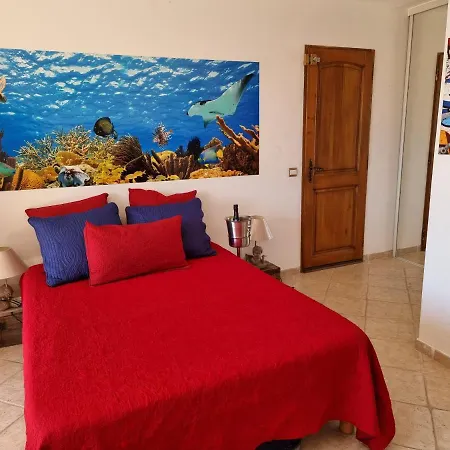 Plage Vue Mer Apartment